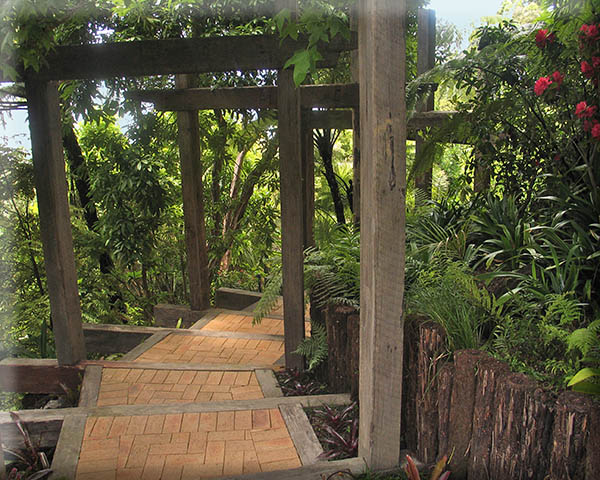 Arapito bush walk